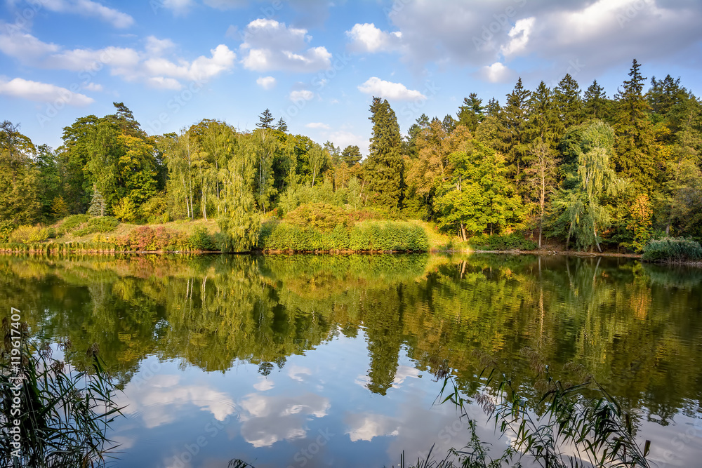 Obraz premium Autumn park. Leaf fall. Lake.
