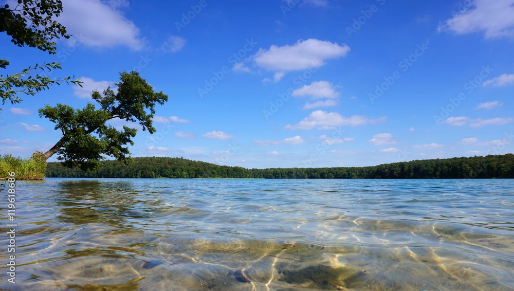 Fototapeta premium Klares Wasser und Ufer am Stechlinsee