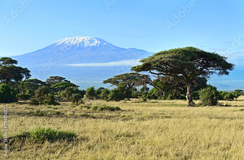 African savanna in Kenya © kyslynskyy
