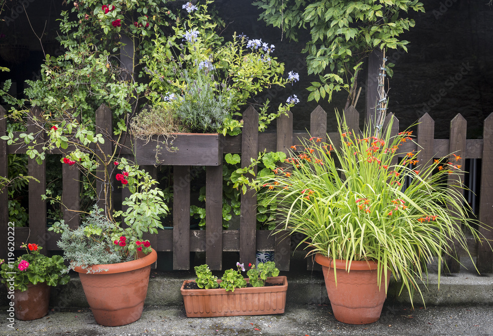 a garden with a wooden fence and flower pots
