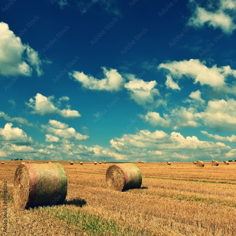 Hay bail harvesting in golden field landscape. Summer Farm Scenery with Haystack on the background of Beautiful Sunset.