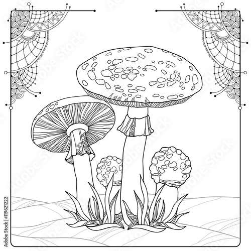 Vector composition with Amanita or Fly agaric mushroom isolated on white. Outline poisonous red-cup mushroom in line art decor. Floral elements in contour style for autumn design and coloring book.