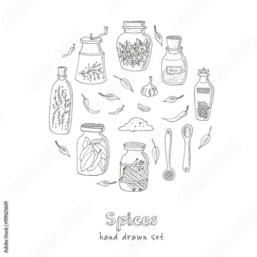 Spices in jars.Vintage illustration for identity, design