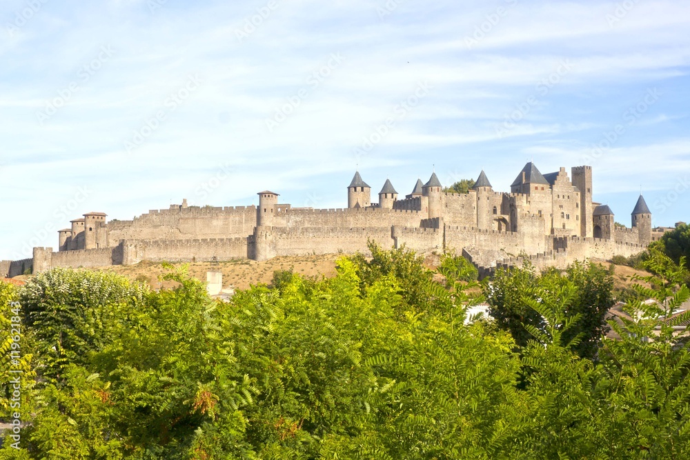 Obraz premium Carcassonne castle in France with some trees in front of it