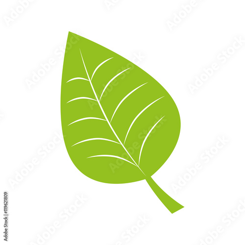 leaf recycle envioment nature energy design vector illustration eps 10 photo