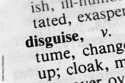 Disguise