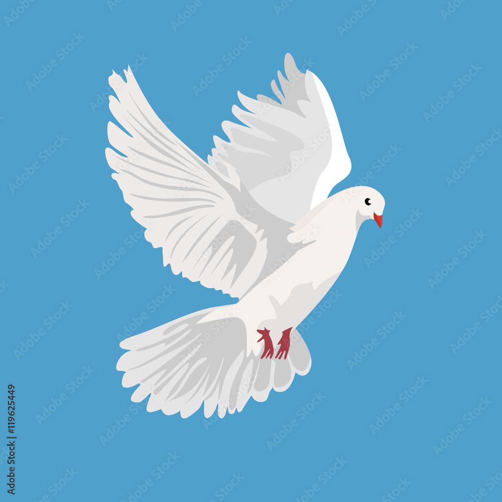 Fototapeta premium dove, pigeon, vector illustration