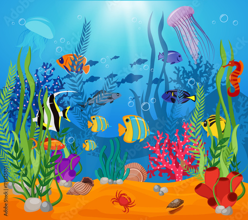 Sea Life Animals Plants Composition