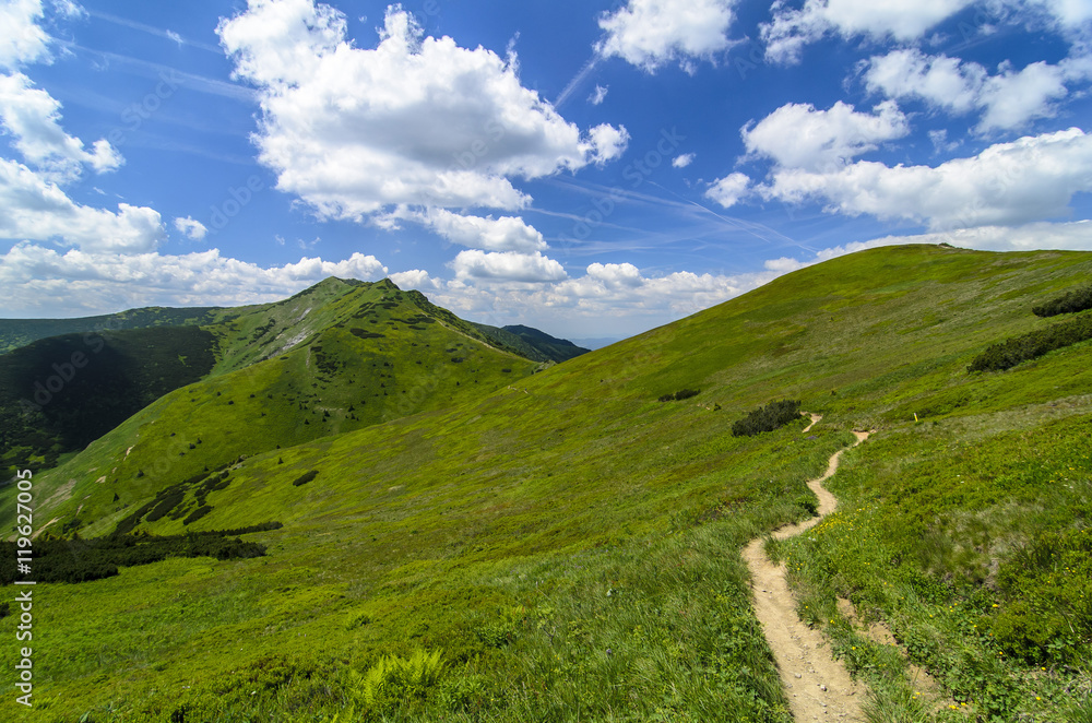 Mala Fatra mountain, Slovakia, Europe - Mountain path in National park Mala Fatra Mala Fatra mountain, Slovakia, Europe - Mountain path in National park Mala Fatra