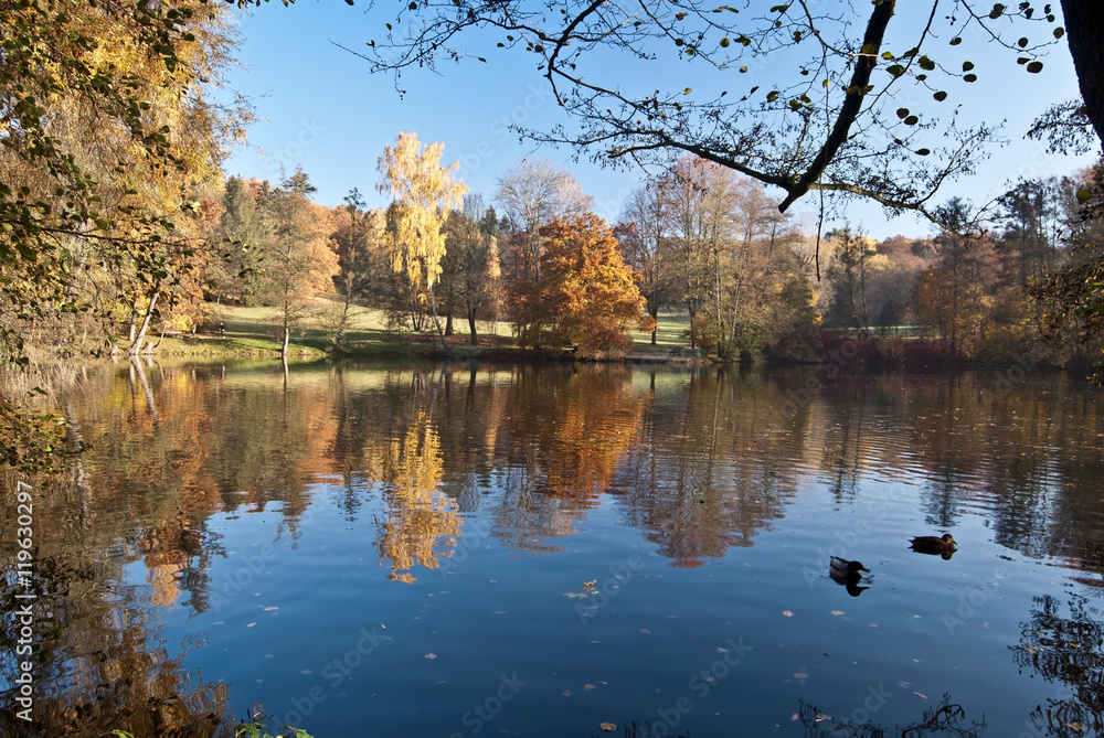 pond with colorful autumn trees on the background and clear sky in Plauen city in Vogtland pond with colorful autumn trees on the background and clear sky in Plauen city in Vogtland