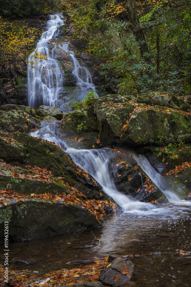 Naklejka premium Spruce Flat Falls, Autumn, Great Smoky Mountains