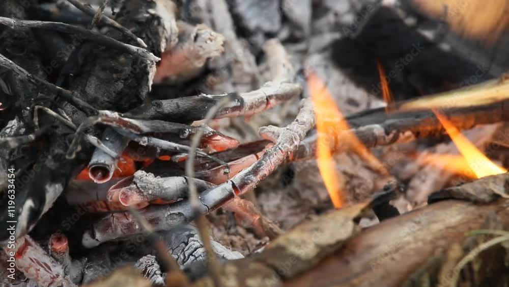 smoldering bonfire smoldering bonfire