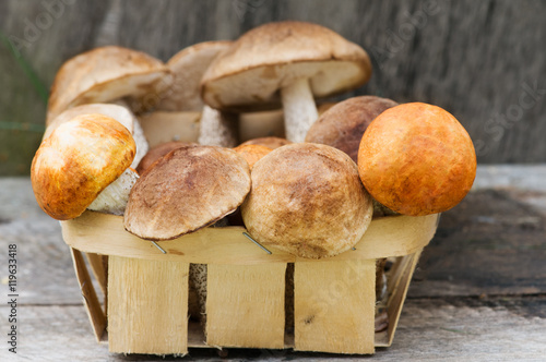 fresh mushrooms in a wicker basket close-up