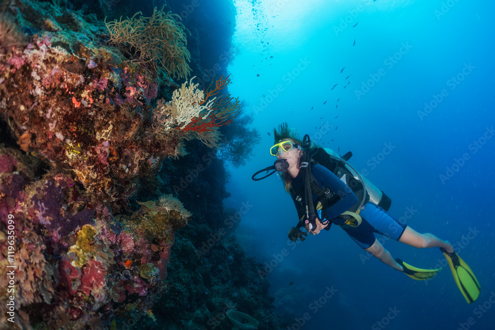 Divers Divers