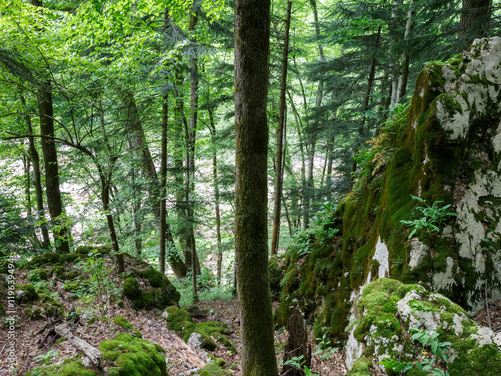 Fototapeta premium Кавказские горы