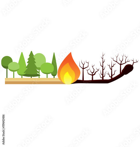 Forest Fire Risk