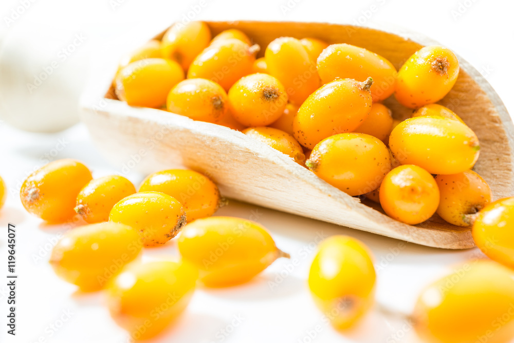 Sanddorn Beeren Sanddorn Beeren