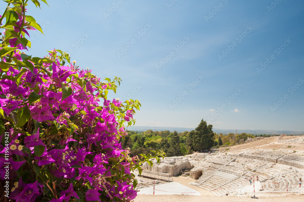 Fototapeta premium The famous greek theater of Syracuse, Sicily, with a flowered bougainvillea plant in the foreground