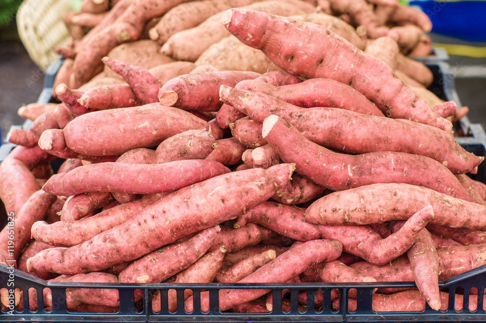 Fresh sweet potatoes at the market Fresh sweet potatoes at the market