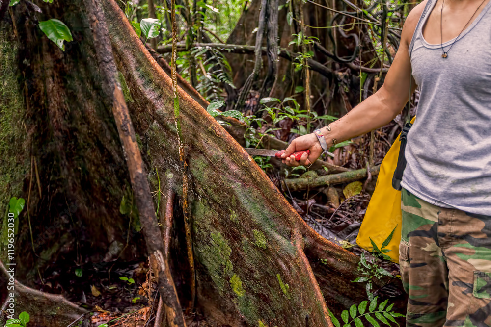 Obraz premium Deforestation Environmental Problem, Amazonia Rainforest