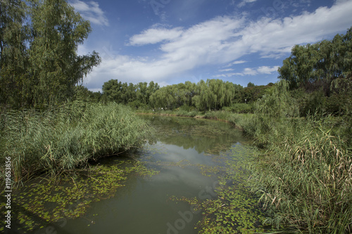 Beautiful lake in Olympic Forest Park, Beijing, China