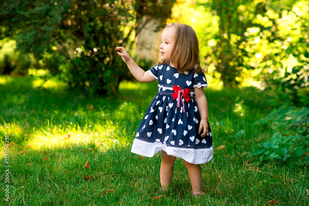 Smiling little girl in a meadow in the park. Smiling little girl in a meadow in the park.
