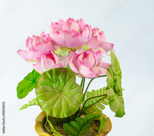 pastic lotus flower of decoration on white background photo