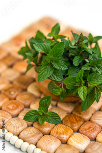 Mint on natural wooden background, peppermint.