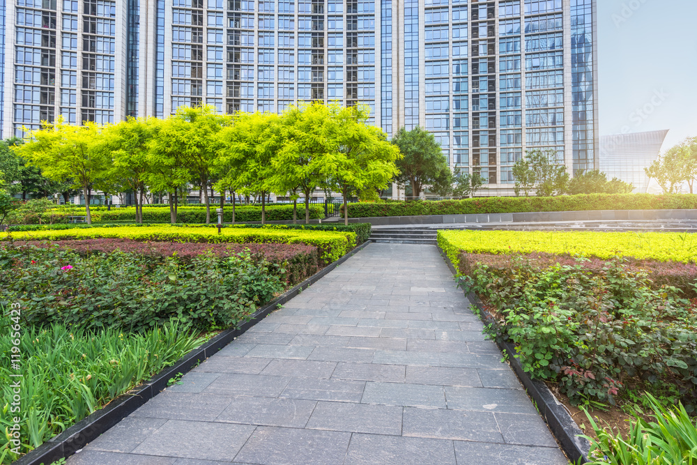 Obraz premium beautiful park at a sunny day,shanghai,china.