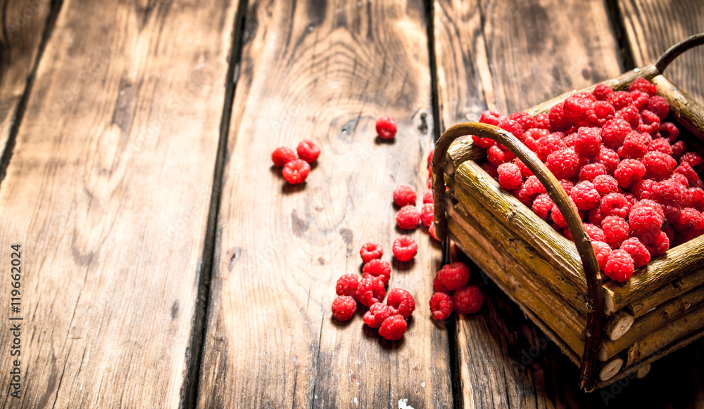 Naklejka premium Wild raspberries in the basket.