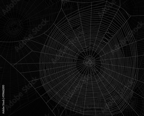 background from dark gray dense webs