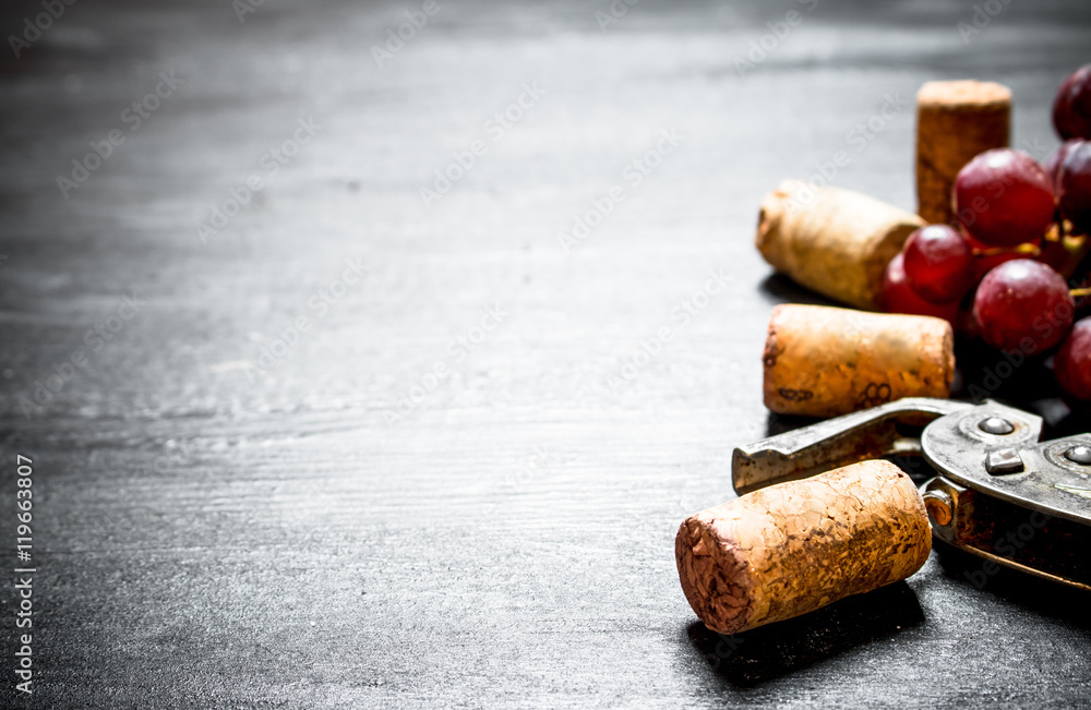 Wine corks with corkscrew and grape branch.