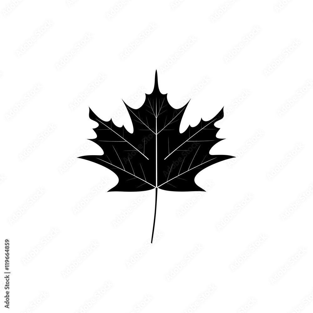 Naklejka premium the maple leaf icon