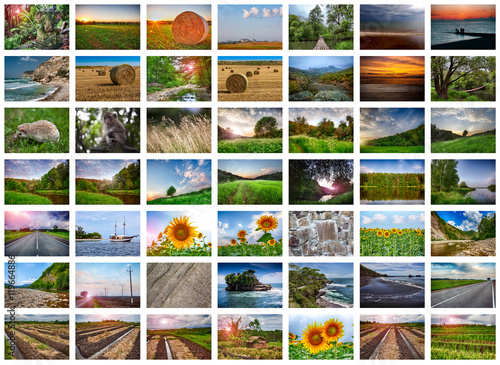 Collage of many nature photos on a white background