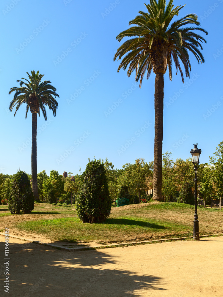 ciutadella garden in the city of barcelona