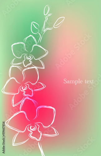 Background with outline orchid in beautiful colors, vector illustration. Can be used as greeting or invitation card