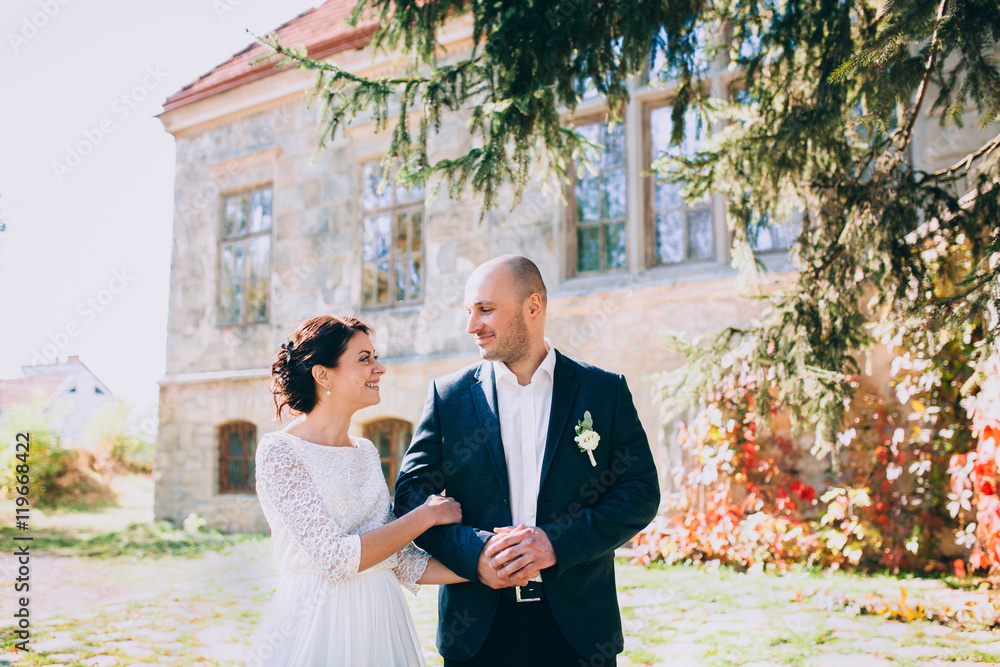 Fototapeta premium Stylish happy wedding couple on the background beautiful old castle
