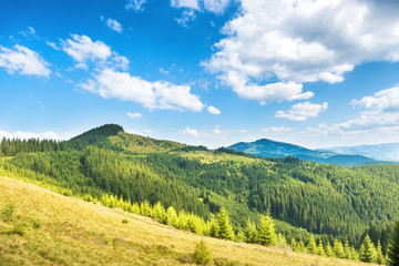 Fotobehang Heuvel Zonnige groene heuvels in zomer  © Pavlo Vakhrushev