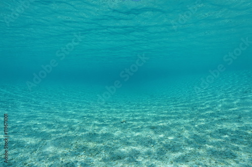 Curved shallow sandy seabed underwater in an hoa of the atoll of Tikehau, natural scene, Pacific ocean, Tuamotu, French Polynesia