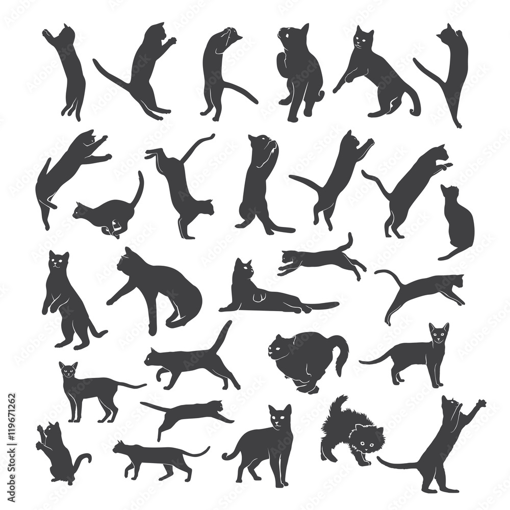 cats silhouette vector