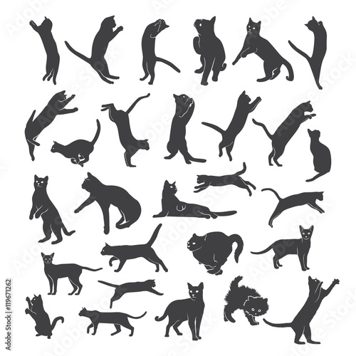 cats silhouette vector