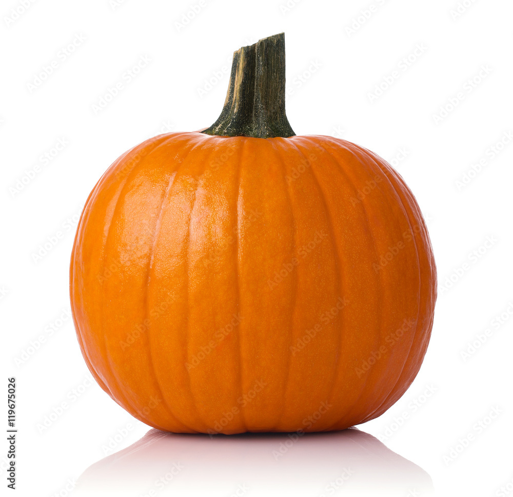 Obraz premium Close up of a pumpkin isolated on white background