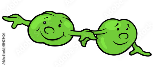 Green Pea Beans - Colored C...