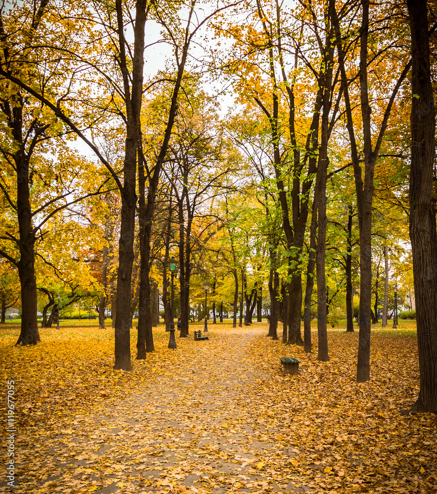 Parc, autumn