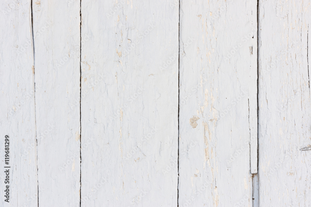 The white wood texture with natural patterns background The white wood texture with natural patterns background