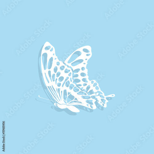 butterfly   icon