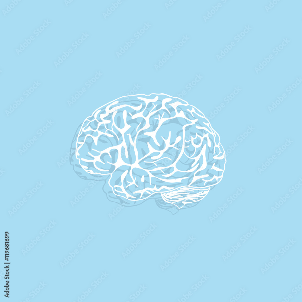 brain  icon