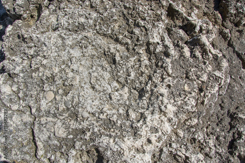 Wallpaper Mural Stone texture. For design with copy space for text or image. Torontodigital.ca