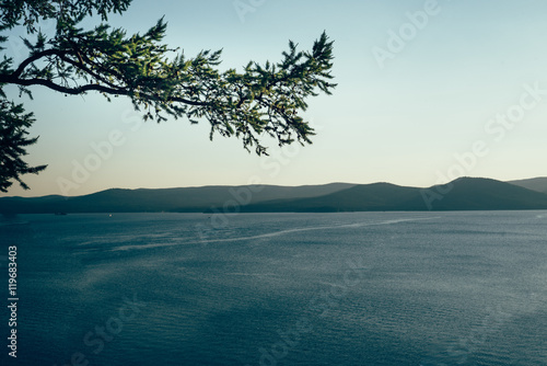 Pine Tree with Blue Lake Water Background and copy space