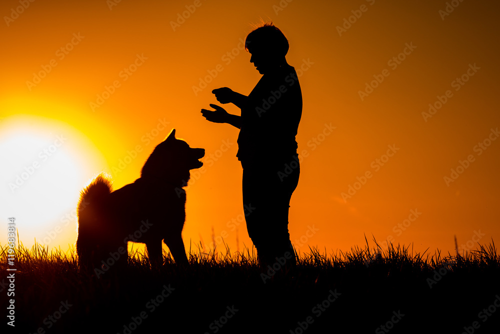 Silhouette of woman with dog on the beach, sunset background